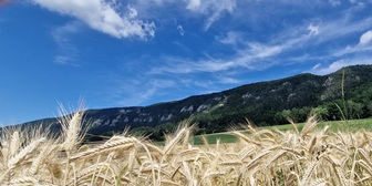 Corcelles (BE) - Gore Virat - Mont Raimeux - Moutier