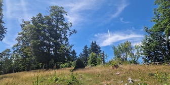 Corcelles (BE) - Gore Virat - Mont Raimeux - Moutier