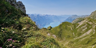 Brienzer Rothorn - Zwischenegg - Biet