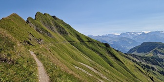 Brienzer Rothorn - Zwischenegg - Biet