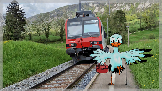Ein Zugvogel trifft am Ziel seiner Reise ein
